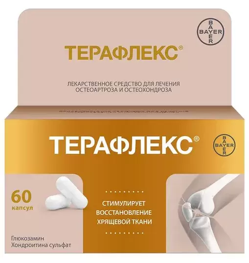 Терафлекс 500мг/400мг №60 капсул Bayer Consumer